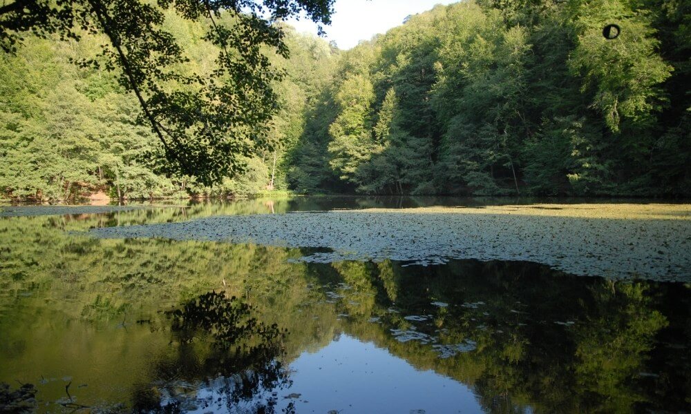 Bolu Termal Otel